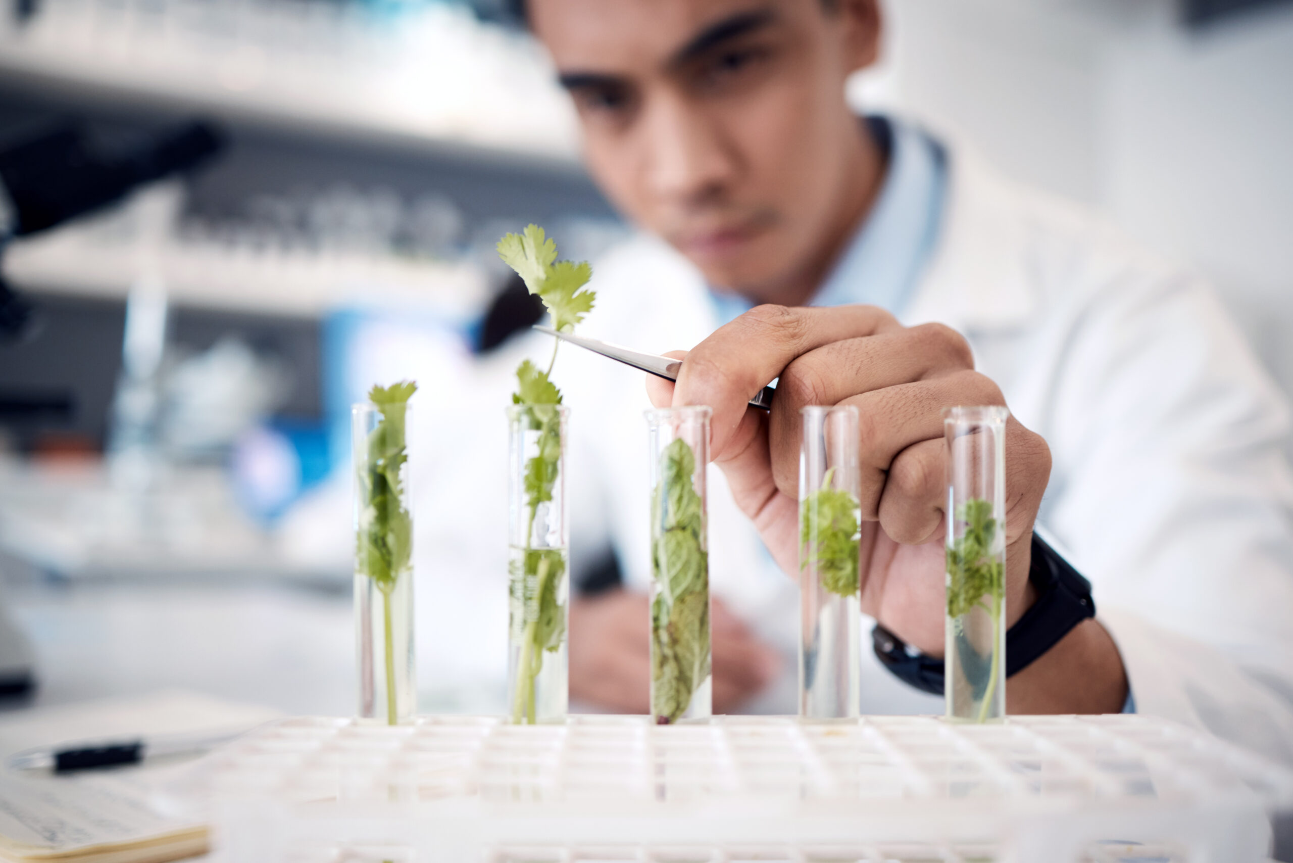 Hands-plant-scientist-and-laboratory-test-tubes in plant growth research, climate change solution.