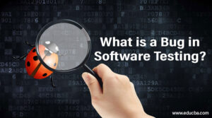 What-is-a-Bug-in-Software-Testing