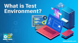 What is test Enviroment