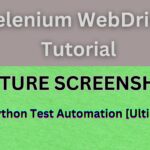 Capture Screenshot in Selenium